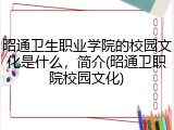 昭通卫生职业学院的校园文化是什么，简介(昭通卫职院校园文化)