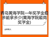 青岛黄海学院一年奖学金最多能拿多少(黄海学院最高奖学金)