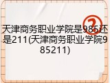天津商务职业学院是985还是211(天津商务职业学院985211)