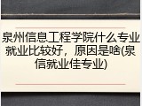 泉州信息工程学院什么专业就业比较好，原因是啥(泉信就业佳专业)