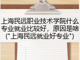 上海民远职业技术学院什么专业就业比较好，原因是啥("上海民远就业好专业")