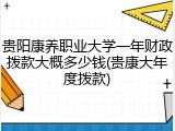 贵阳康养职业大学一年财政拨款大概多少钱(贵康大年度拨款)