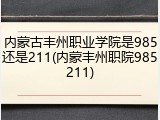 内蒙古丰州职业学院是985还是211(内蒙丰州职院985211)