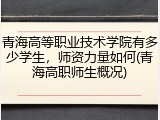 青海高等职业技术学院有多少学生，师资力量如何(青海高职师生概况)