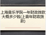 上海音乐学院一年财政拨款大概多少钱(上音年财政拨款)