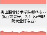 佛山职业技术学院哪些专业就业前景好，为什么(佛职院就业好专业)