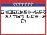 四川国际标榜职业学院是双一流大学吗?(川标院双一流否)