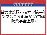 甘肃建筑职业技术学院一年奖学金最多能拿多少(甘建院奖学金上限)