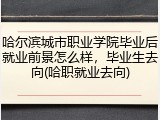 哈尔滨城市职业学院毕业后就业前景怎么样，毕业生去向(哈职就业去向)