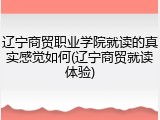 辽宁商贸职业学院就读的真实感觉如何(辽宁商贸就读体验)