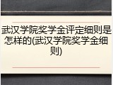 武汉学院奖学金评定细则是怎样的(武汉学院奖学金细则)