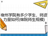 宿州学院有多少学生，师资力量如何(宿院师生规模)