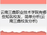 云南三鑫职业技术学院有哪些知名校友，简单分析(云南三鑫校友分析)