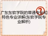 广东东软学院的普通专业和特色专业详解(东软学院专业解析)