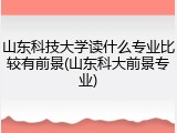 山东科技大学读什么专业比较有前景(山东科大前景专业)