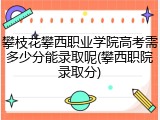 攀枝花攀西职业学院高考需多少分能录取呢(攀西职院录取分)