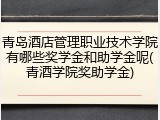 青岛酒店管理职业技术学院有哪些奖学金和助学金呢(青酒学院奖助学金)
