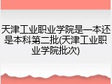 天津工业职业学院是一本还是本科第二批(天津工业职业学院批次)