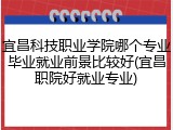 宜昌科技职业学院哪个专业毕业就业前景比较好(宜昌职院好就业专业)