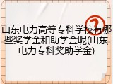 山东电力高等专科学校有哪些奖学金和助学金呢(山东电力专科奖助学金)