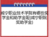 咸宁职业技术学院有哪些奖学金和助学金呢(咸宁职院奖助学金)