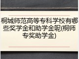 桐城师范高等专科学校有哪些奖学金和助学金呢(桐师专奖助学金)
