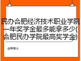 民办合肥经济技术职业学院一年奖学金最多能拿多少(合肥民办学院最高奖学金)