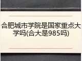 合肥城市学院是国家重点大学吗(合大是985吗)