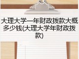 大理大学一年财政拨款大概多少钱(大理大学年财政拨款)