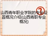 山西青年职业学院的专业设置概况介绍(山西青职专业概况)