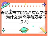 青岛城市学院是否有双学位，为什么(青岛学院双学位原因)