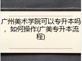 广州美术学院可以专升本吗，如何操作(广美专升本流程)