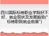 四川国际标榜职业学院好不好，就业现状及发展趋势("标榜职院就业前景")