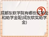 成都东软学院有哪些奖学金和助学金呢(成东软奖助学金)