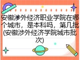 安徽涉外经济职业学院在哪个城市，是本科吗，第几批(安徽涉外经济学院城市批次)