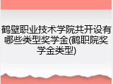 鹤壁职业技术学院共开设有哪些类型奖学金(鹤职院奖学金类型)