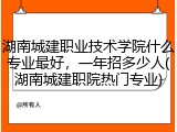 湖南城建职业技术学院什么专业最好，一年招多少人(湖南城建职院热门专业)