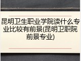 昆明卫生职业学院读什么专业比较有前景(昆明卫职院前景专业)
