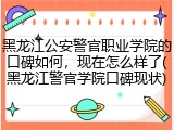 黑龙江公安警官职业学院的口碑如何，现在怎么样了(黑龙江警官学院口碑现状)