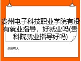 贵州电子科技职业学院有没有就业指导，好就业吗(贵科院就业指导好吗)