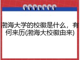 渤海大学的校徽是什么，有何来历(渤海大校徽由来)