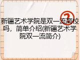 新疆艺术学院是双一流高校吗，简单介绍(新疆艺术学院双一流简介)