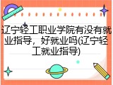 辽宁轻工职业学院有没有就业指导，好就业吗(辽宁轻工就业指导)