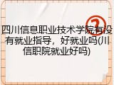 四川信息职业技术学院有没有就业指导，好就业吗(川信职院就业好吗)