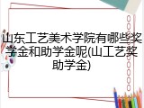 山东工艺美术学院有哪些奖学金和助学金呢(山工艺奖助学金)