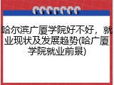 哈尔滨广厦学院好不好，就业现状及发展趋势(哈广厦学院就业前景)