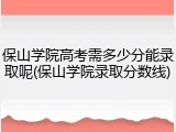 保山学院高考需多少分能录取呢(保山学院录取分数线)