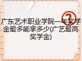 广东艺术职业学院一年奖学金最多能拿多少(广艺最高奖学金)