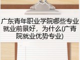 广东青年职业学院哪些专业就业前景好，为什么(广青院就业优势专业)