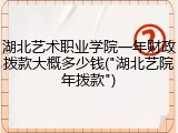 湖北艺术职业学院一年财政拨款大概多少钱("湖北艺院年拨款")
